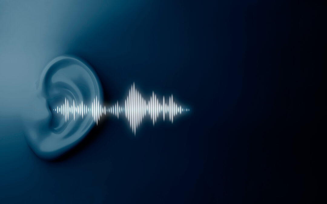 Audios – Uso de Razón