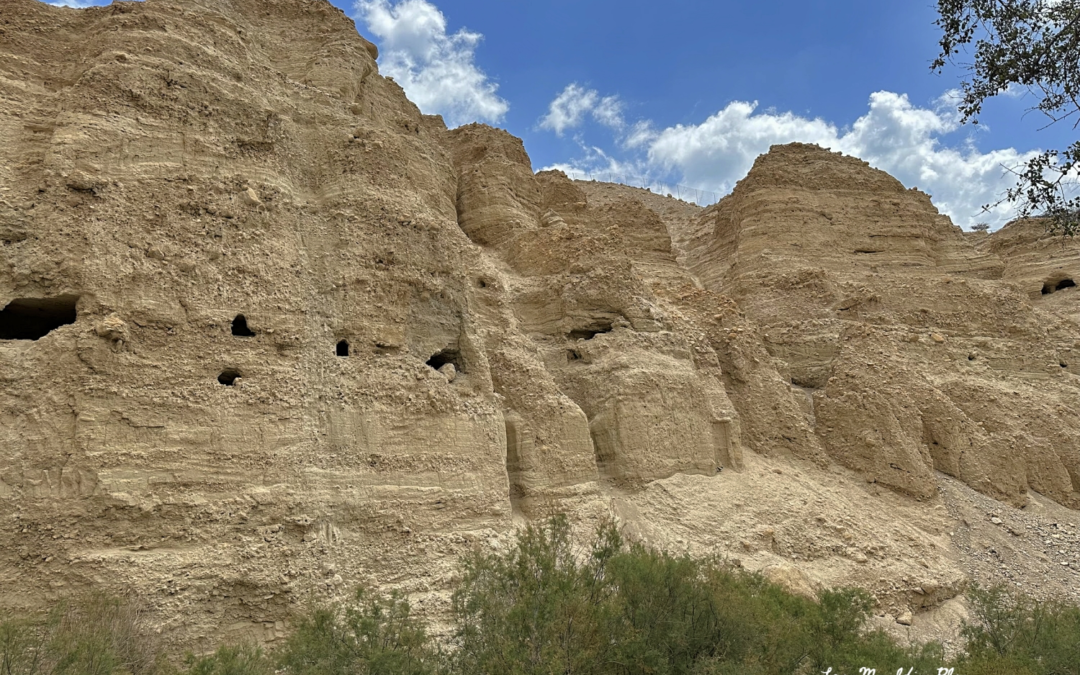 Hazazón Tamar, que es En Gedi