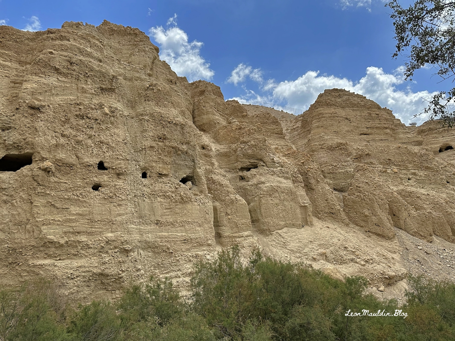 Hazazón Tamar, que es En Gedi